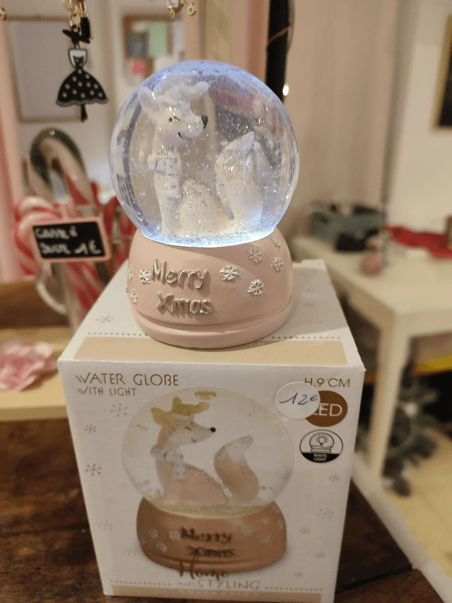 Globe lumineux 