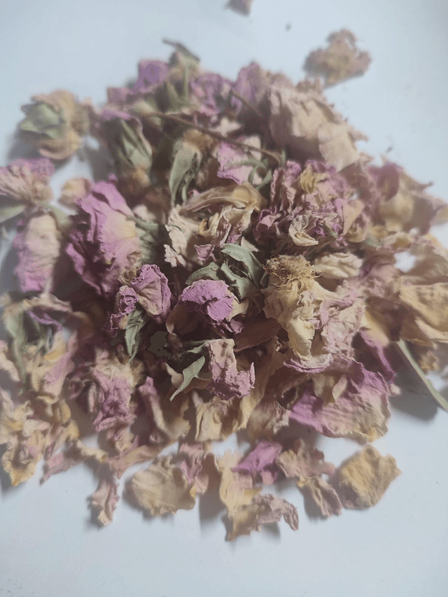 Bouton de rose 30g